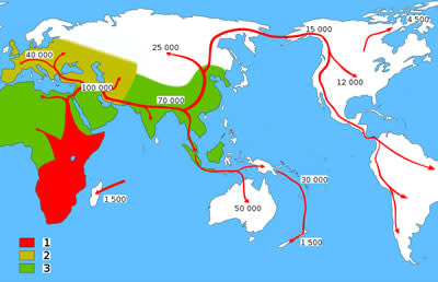800px-Spreading_homo_sapiens.jpg