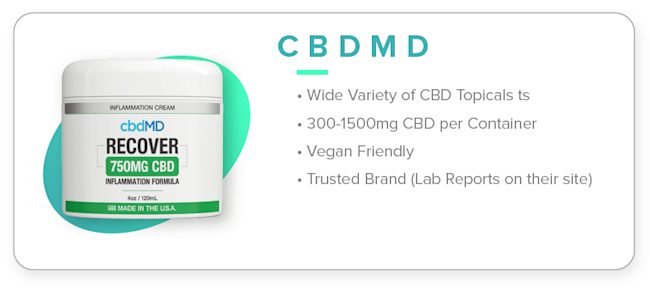 1 cbdMD Cream