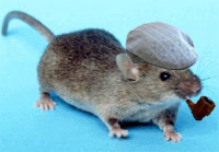 Oldmouse.jpg