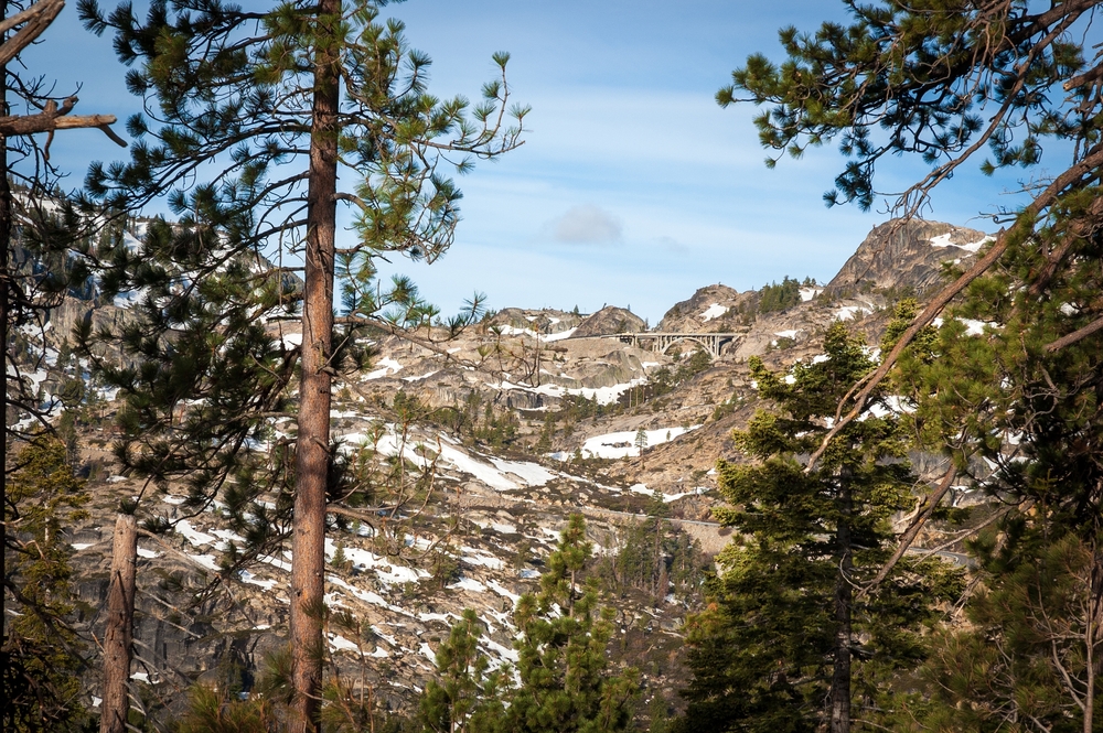 What If the Donner Party Didn’t Resort to Cannibalism?