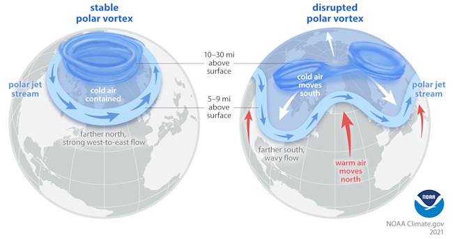 Polar Vortex and Polar Jet Stream