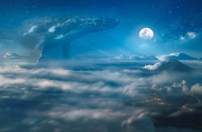 humpback-whale-drifting-in-space-with-moon-and-clouds-above-city