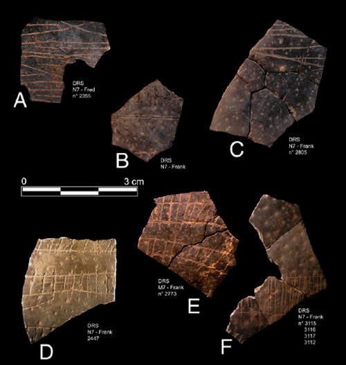 Ostrichfragments.jpg