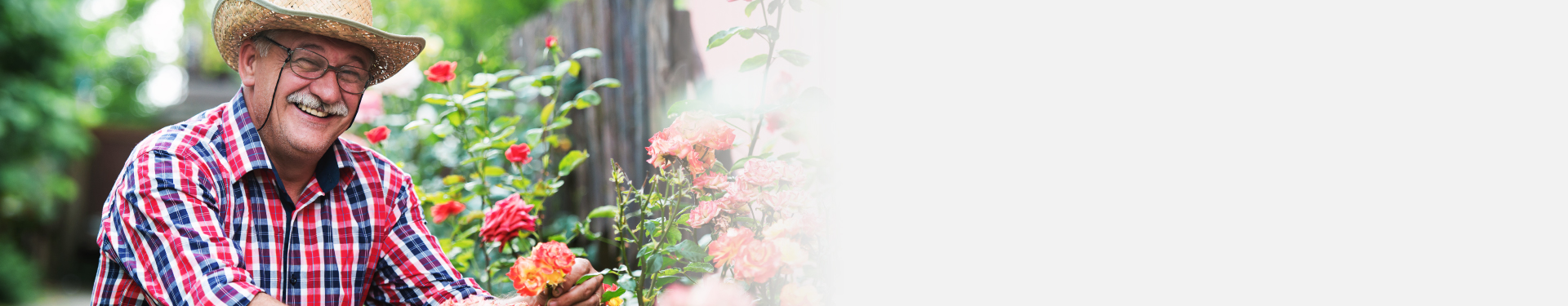 Aprende a plantar tu propio jardín y míralo florecer - TENA