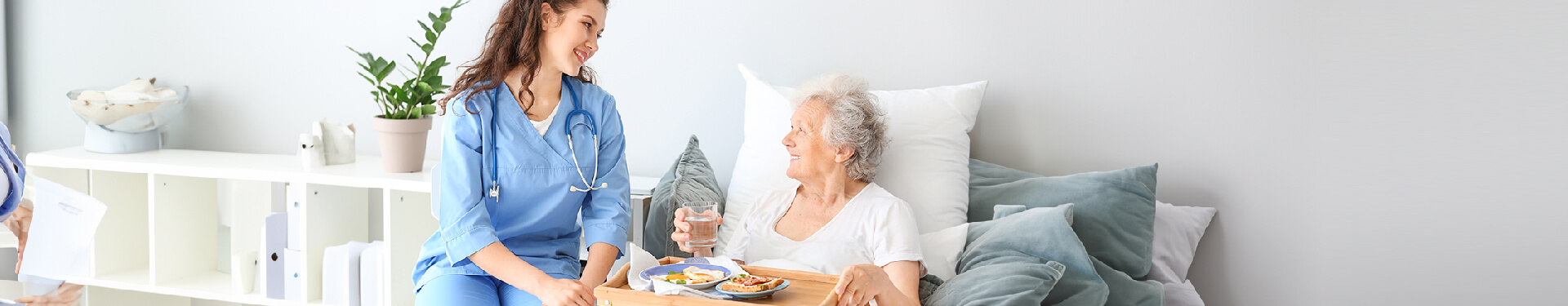 Alimentación saludable en el adulto mayor