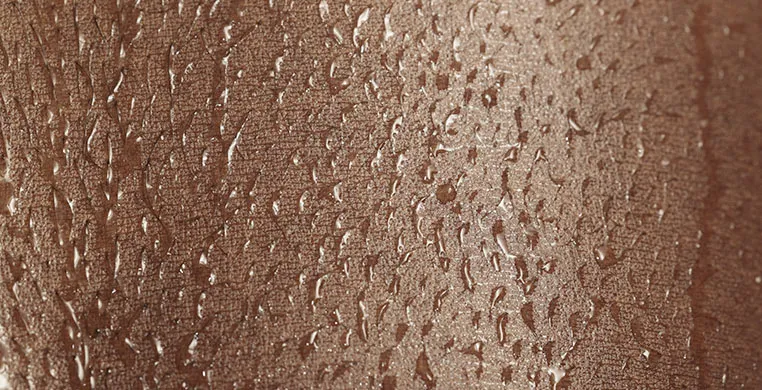 piel-zona-intima-pr-interna-2