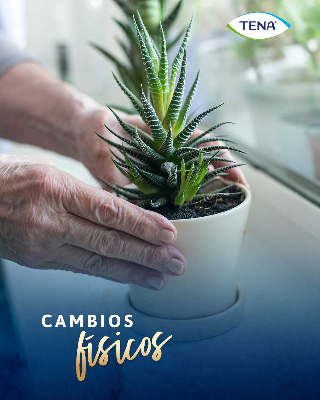 psicologia-adulto-mayor-co-interna-6