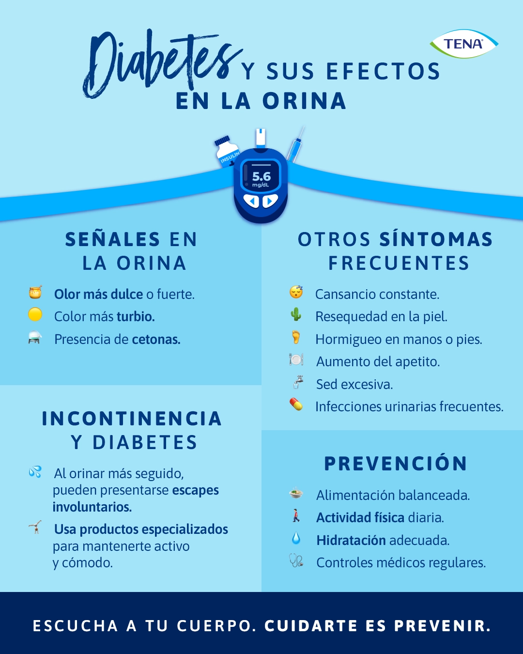orina-persona-diabetes-co-infografia-interna-2