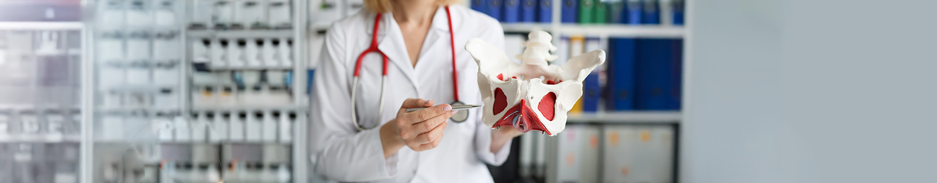 ¿Cuáles son los músculos del suelo pélvico y para qué sirven? - TENA