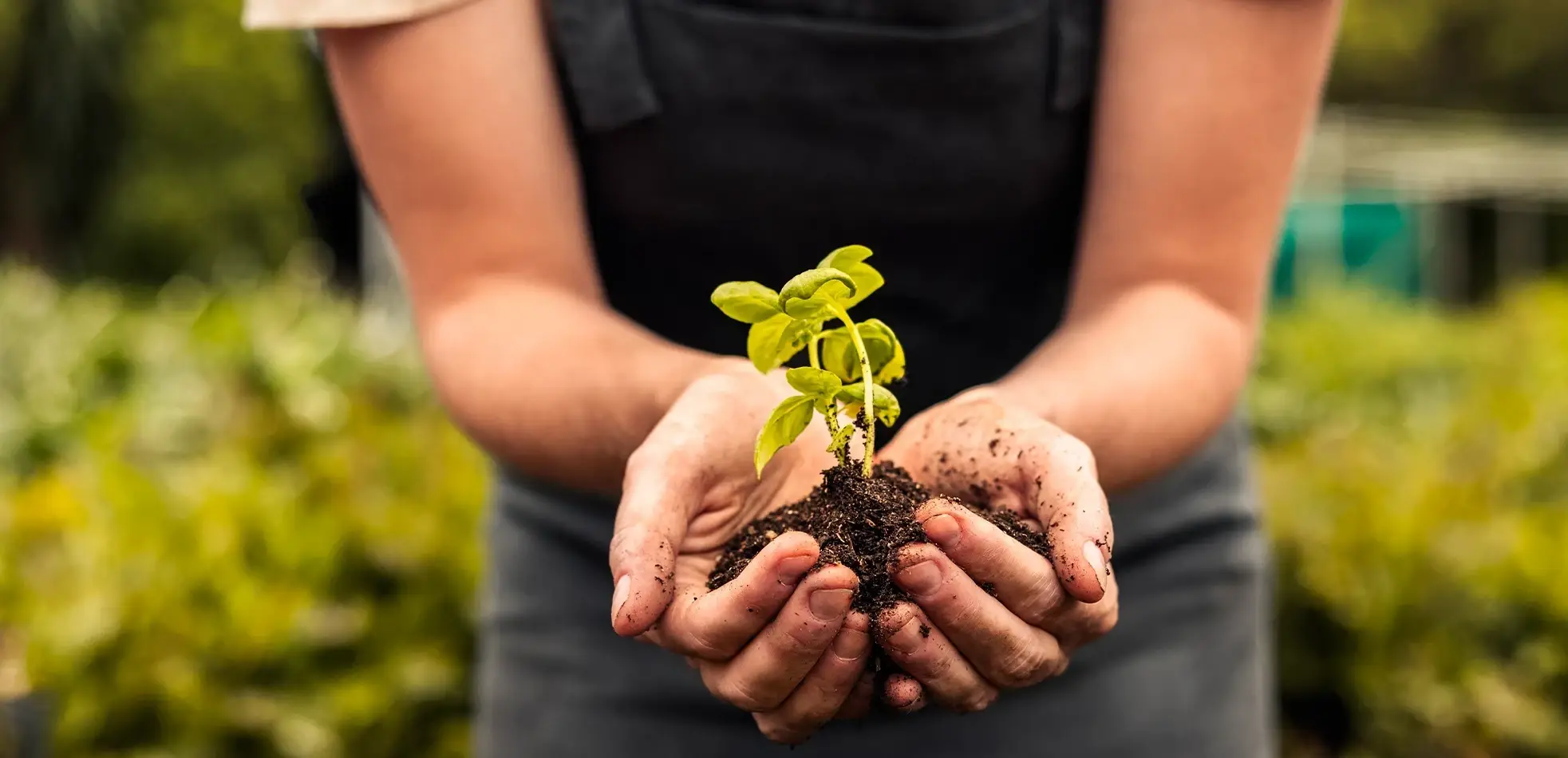 Planta Sostenibilidad