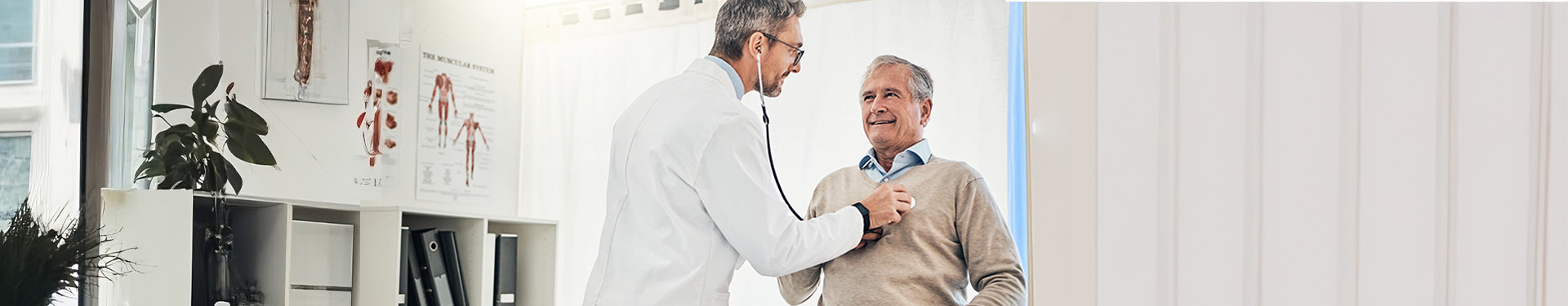 ¿Cómo mejorar la salud cardiovascular? Pasos para la calidad de vida - TENA