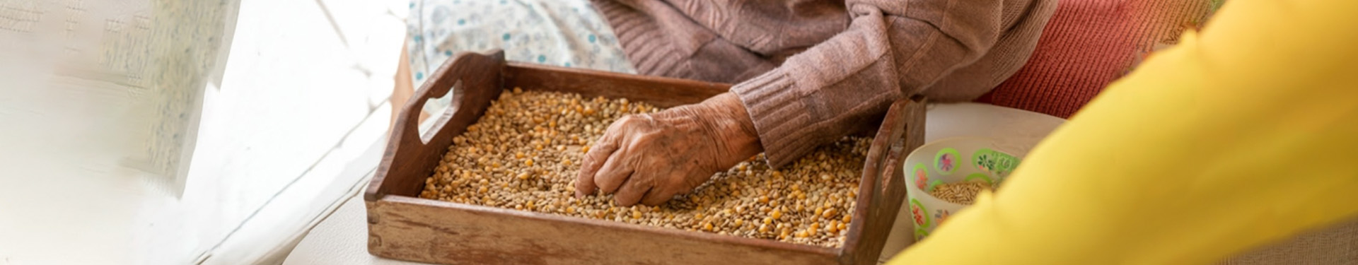 10 actividades cognitivas para adultos mayores - TENA