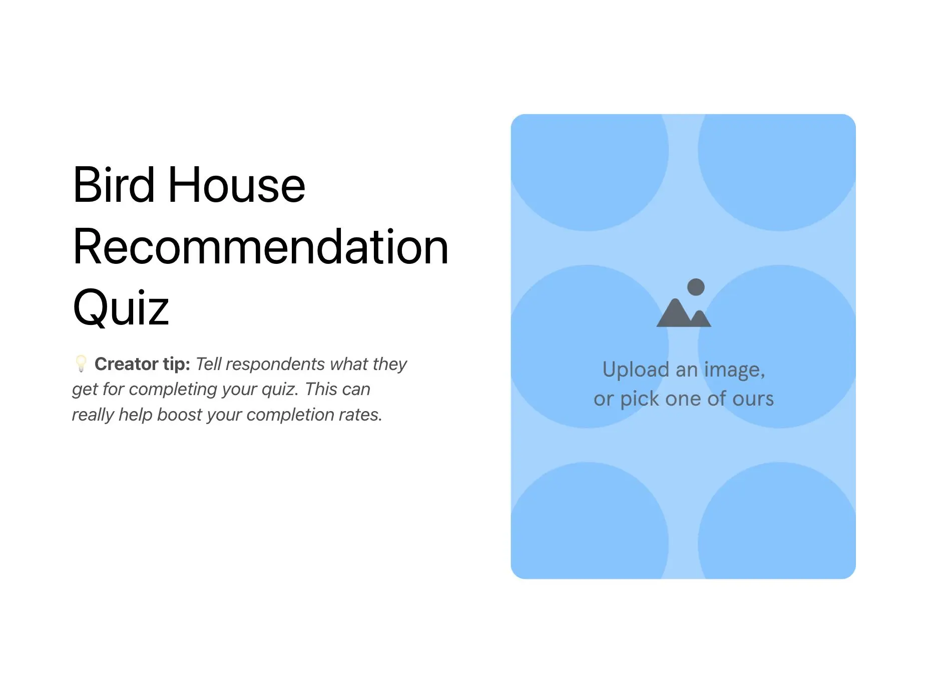 Bird House Recommendation Quiz Template Hero