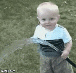 Funniest gif of all time?