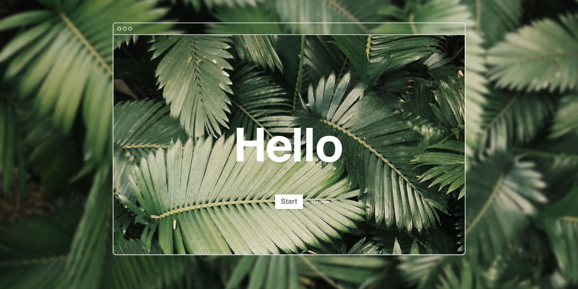 Typeform + Unsplash. Make your online forms beautiful, by Stephanie  Liverani, Unsplash Blog