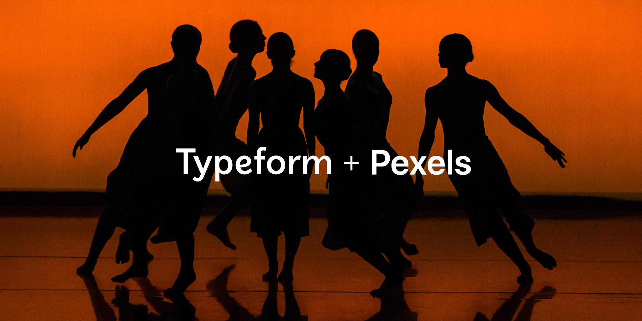 Typeform Now Offers Even More Media Options with the Integrated Pexels Video Library - Typeform Blog