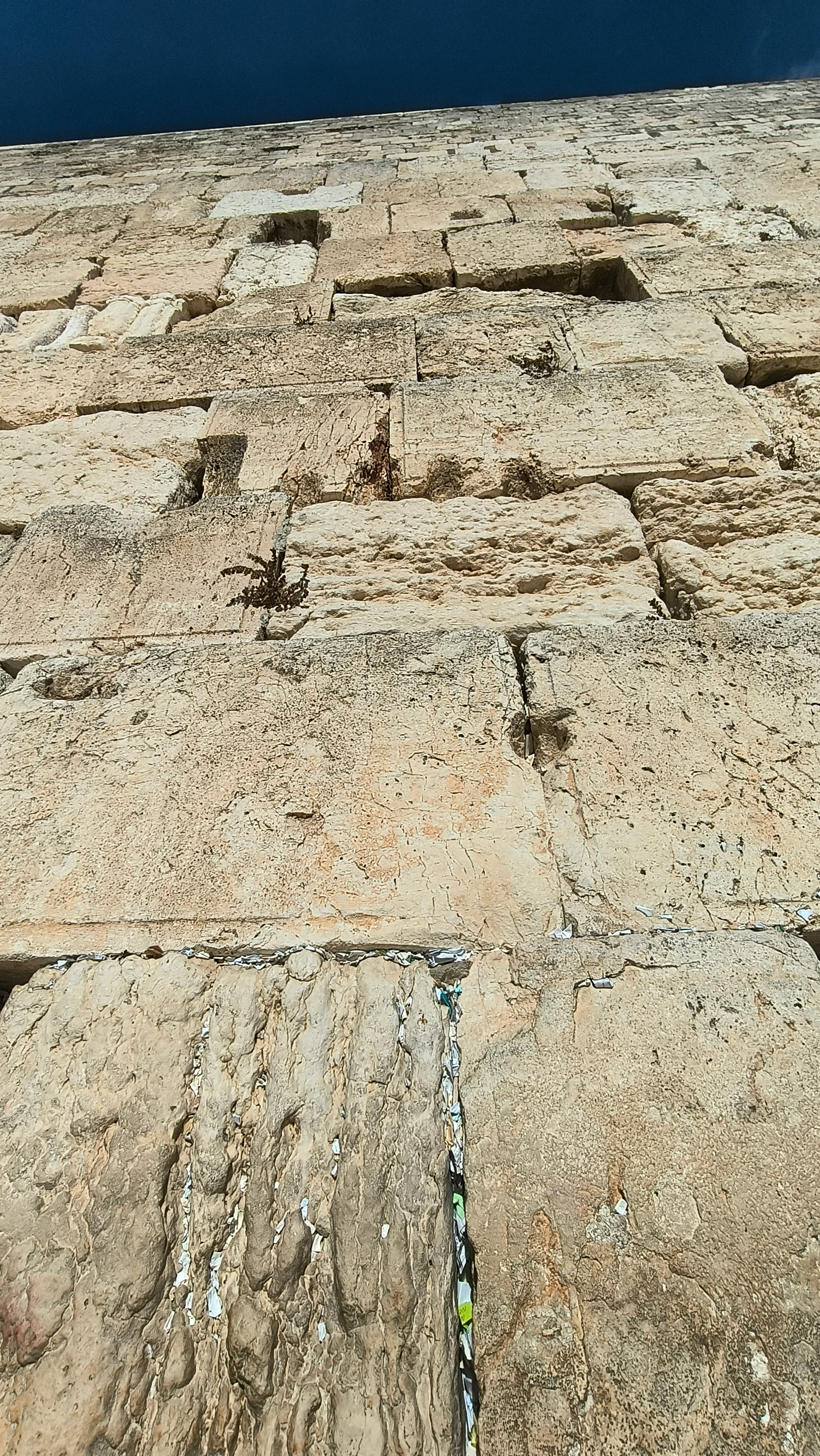 The stones of the Western Wall. Photo: author.