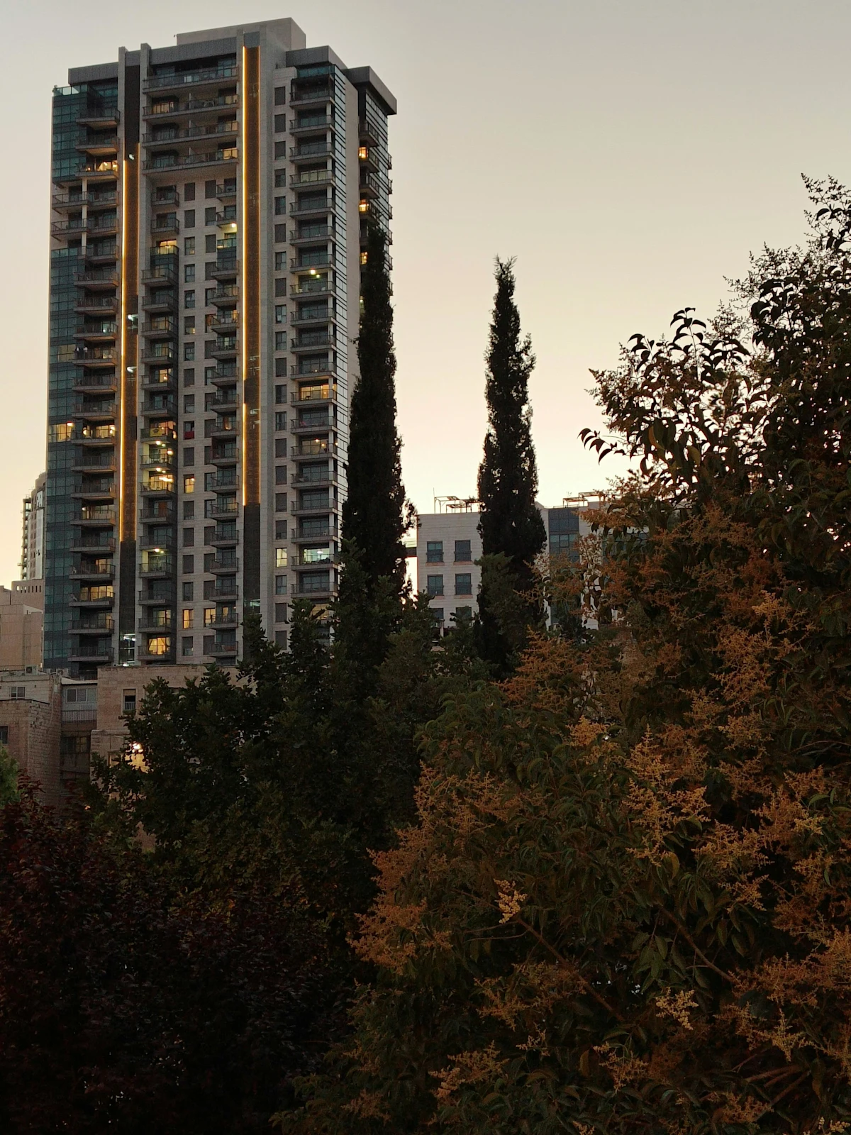 pexels-danielrosehill-32742673