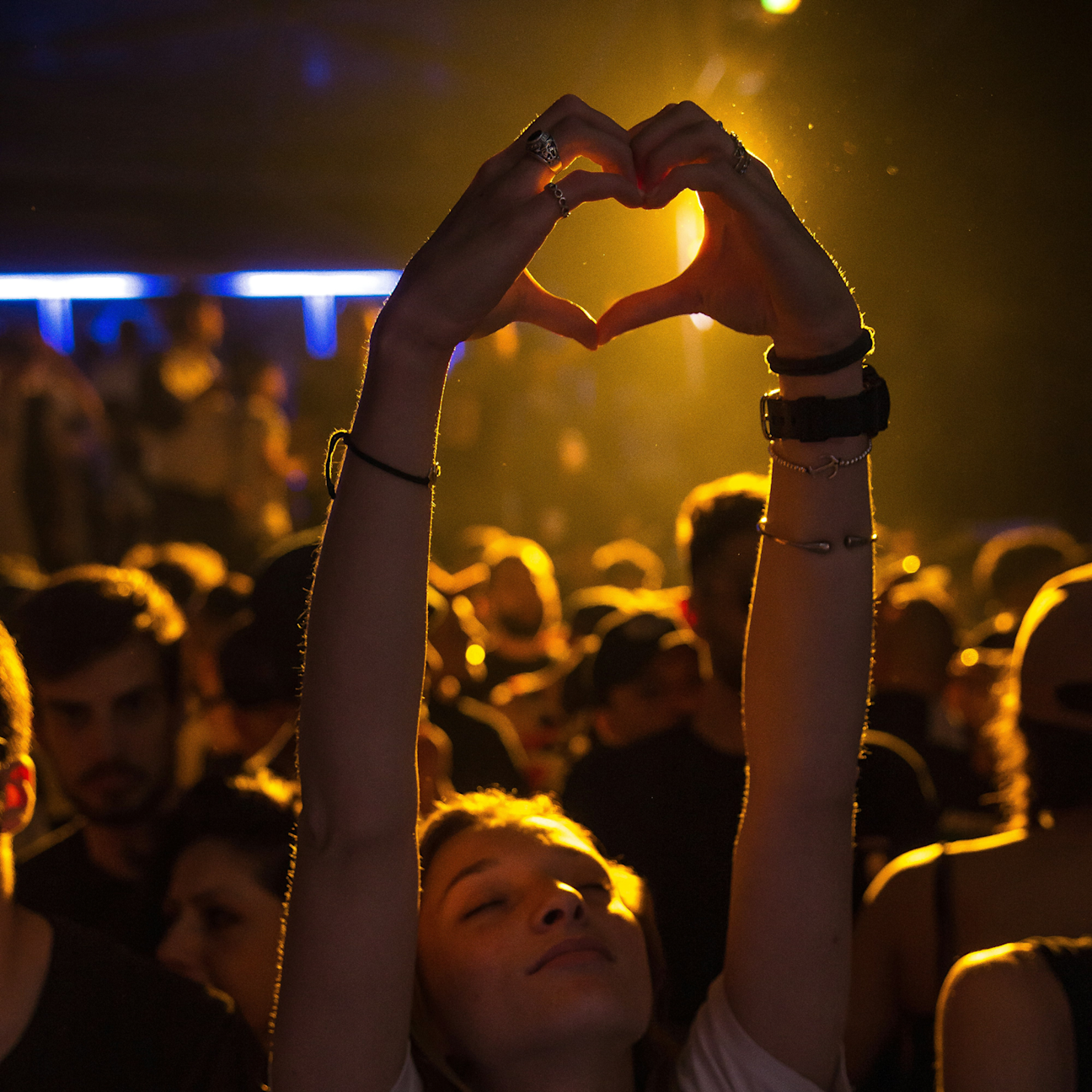 Music Festival Promotion 