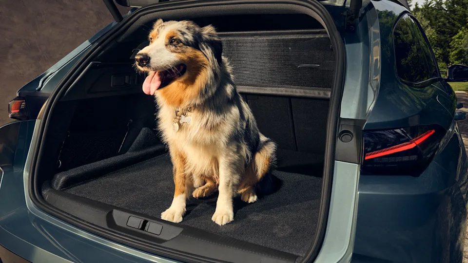 Source: https://www.peugeot.se/modeller/308-sw.html (E308_SW_MAIN_PAGE_COMFORT) — Peugeot Sverige brand site, OEM-owned. 308 SW, no badge in frame. Run: 2026-10-21