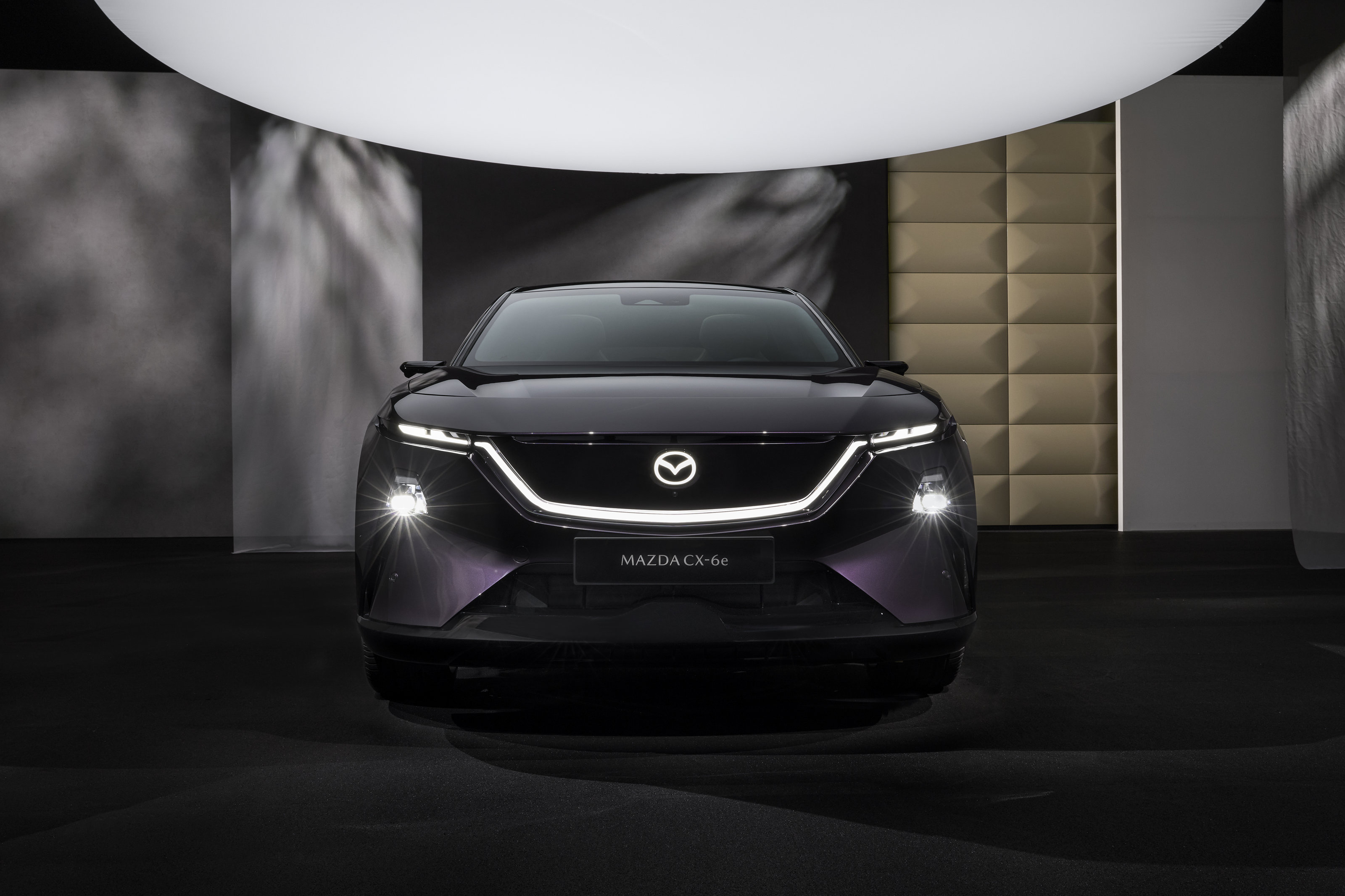 Source: https://www.mazda-press.com/de/cars/mazda-cx-6e/ — press image, editorial use. Run: 2026-08-24