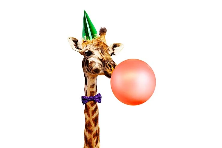 What Animal Has The Most Fun what-is-the-fattest-animal-in-the-world-phoenix-has-gilbert
