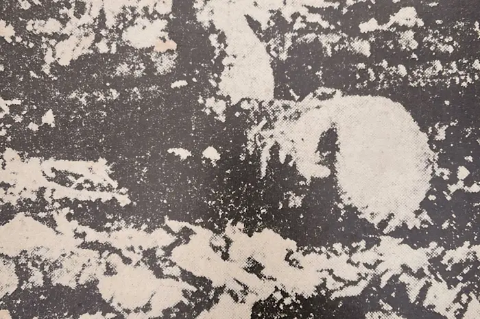  Cent Onze presents "狂気と混沌" - 80's Japanese Noise Special