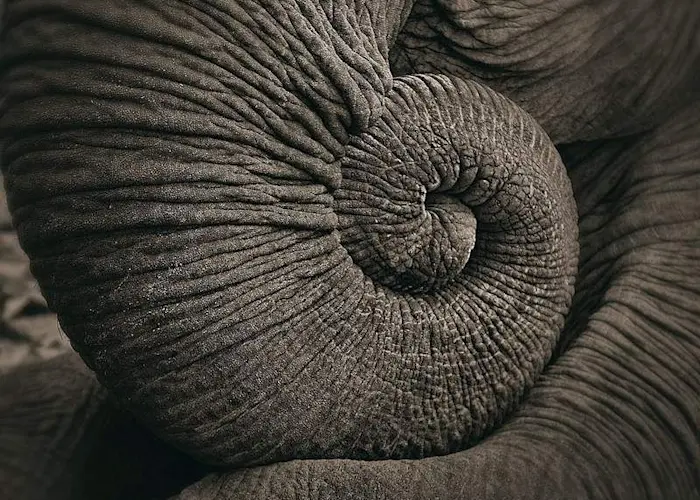 Outsiders: Artetetra w/ XIII