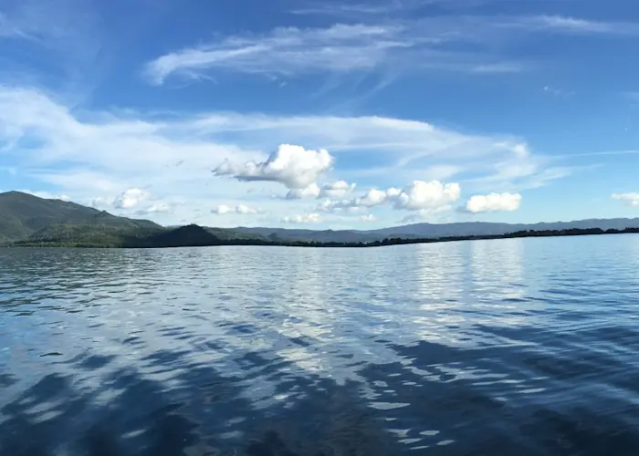 Outsiders: Street Corner Music w/ House Shoes