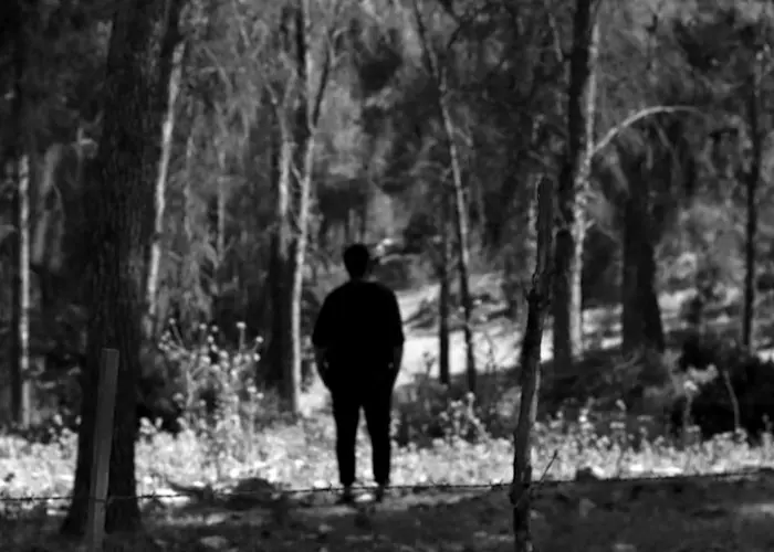 Outsiders: Tofistock w/ Tai Rona