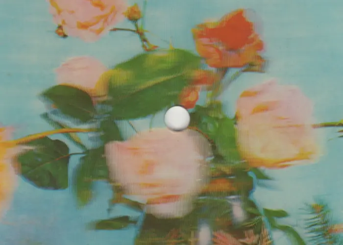 Outsiders: Macadam Mambo w/ Sacha Mambo