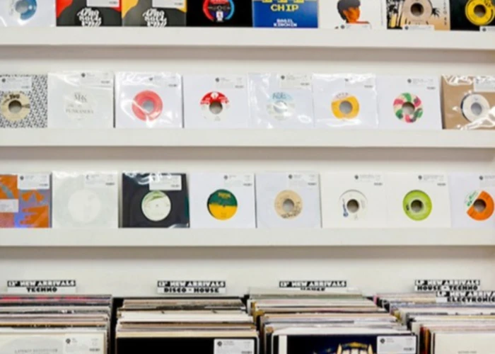 Outsiders: Serendeepity