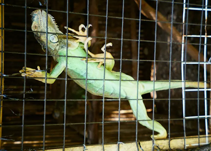 Outsiders: Darker Than Wax w/ Strange Weather ft. Muto & A'alely