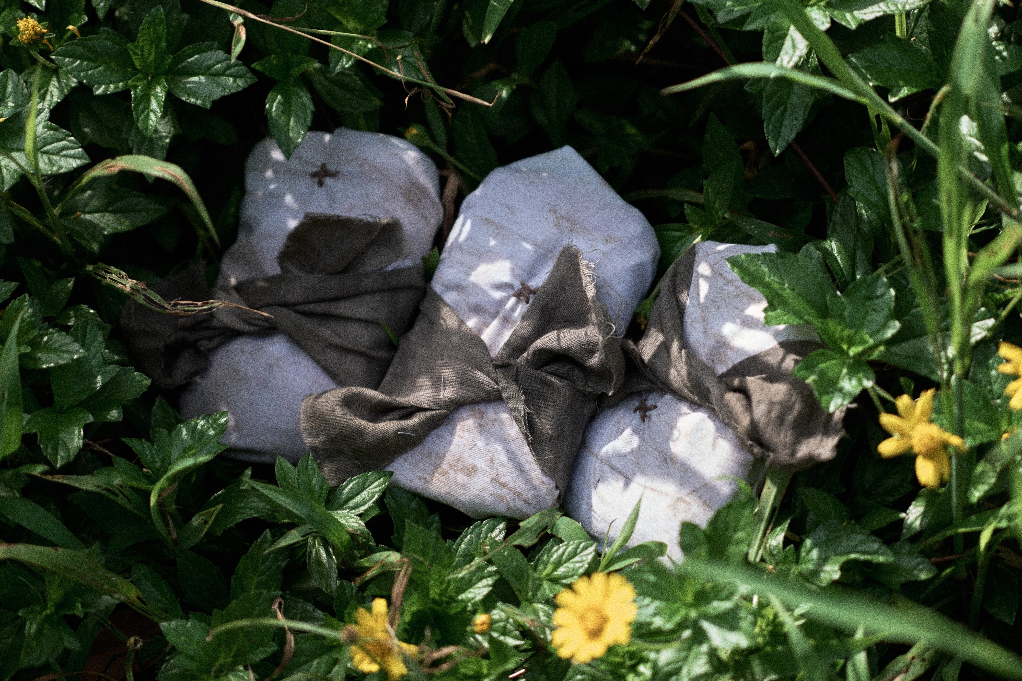 Outsiders: Strange Weather Dunia - Rupa Bentuk Rangka Derhaka