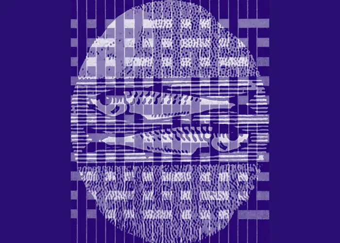 Outsiders: Bongo Joe Records w/ Les Poissons Élastiques