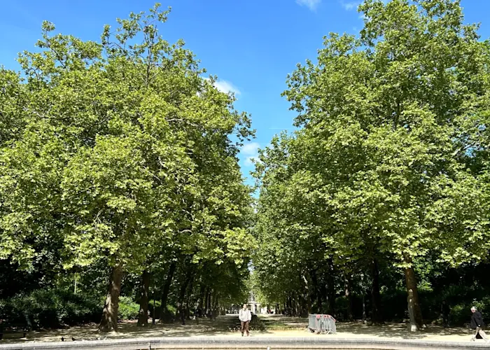 Anterior Insula w/ Acasta Gneiss