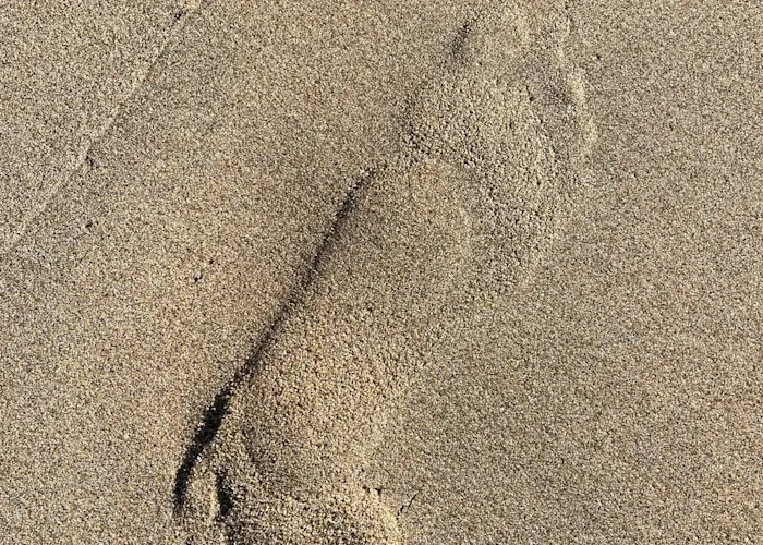 Outsiders: traumgarten w/ Vox supreme