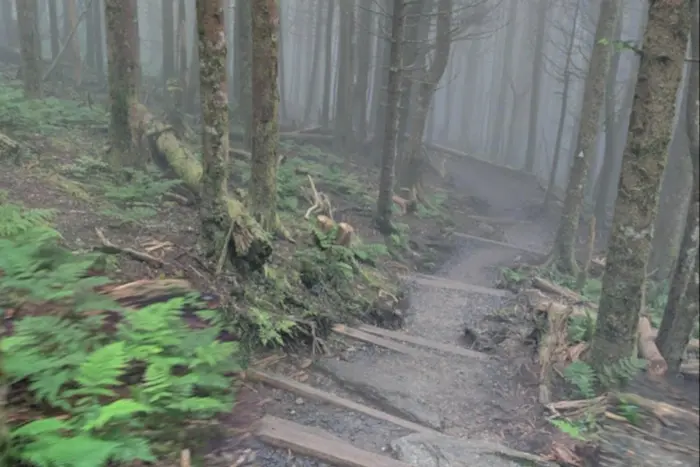 Outsiders: Drifting and Dreaming w/ Rambling Boy Harrers