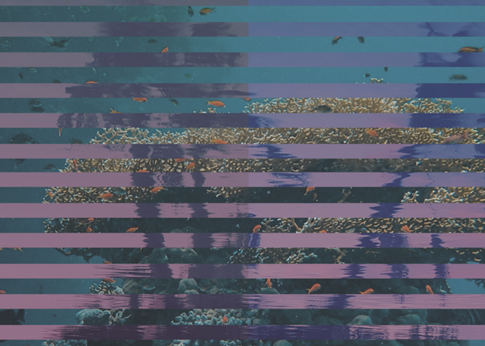 Outsiders: Discrepant - Future pt. 2