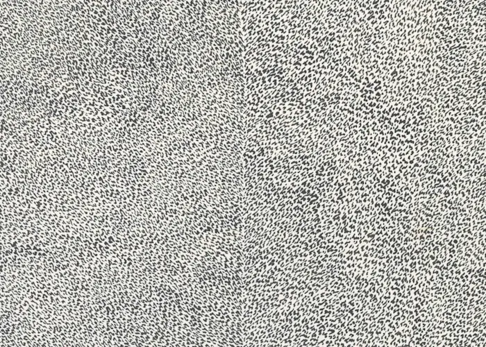 Outsiders: OTOROKU w/ Ecka Mordecai