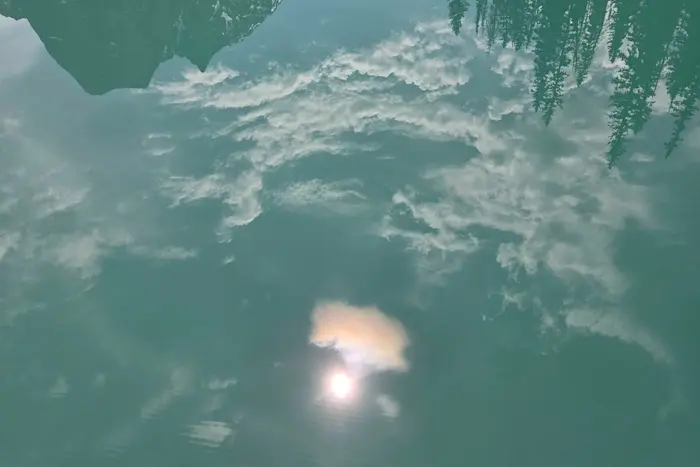 Outsiders: Understory w/ Ciel - Canadian minimal special
