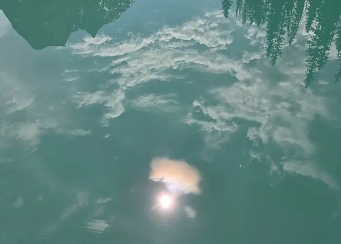 Outsiders: Understory w/ Ciel - Canadian minimal special