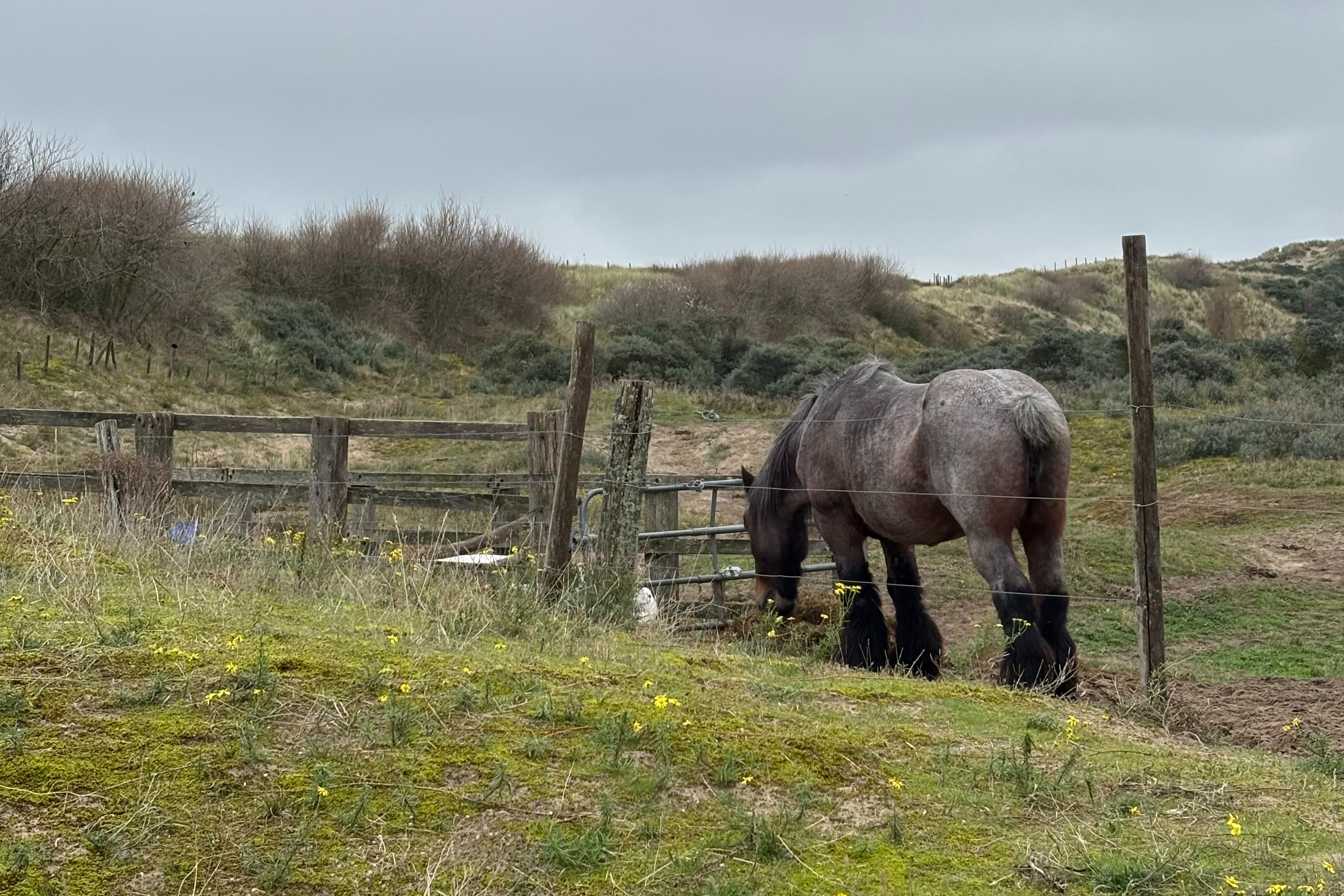 Outsiders: The Morning Consort w/ Ijf Boullet