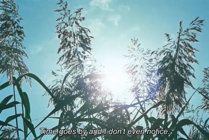 Outsiders: Foggy Hex - 2025 Wrap Part 1