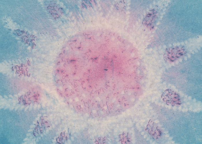 Outsiders: Skupina x mappa