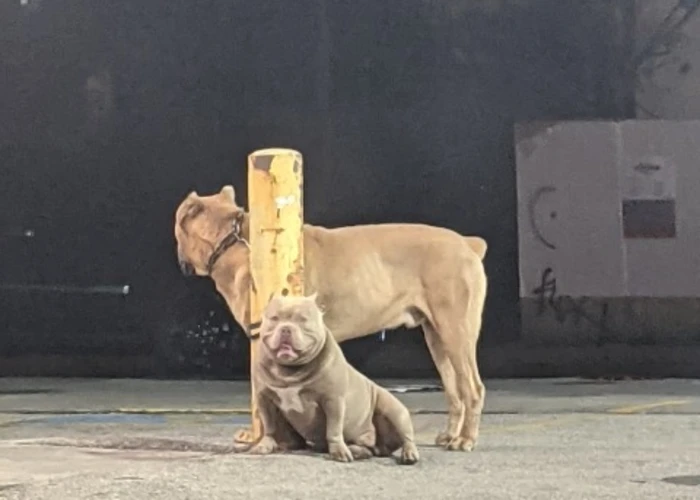 Outsiders: Invisible City w/ Charles Bridge & Omid.