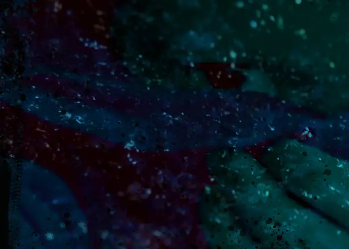 Outsiders: Demord Enregistrements w/ Riposte & Louise Lavi