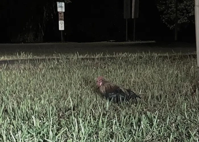 Outsiders: Darker Than Wax w/ Super Enjoy