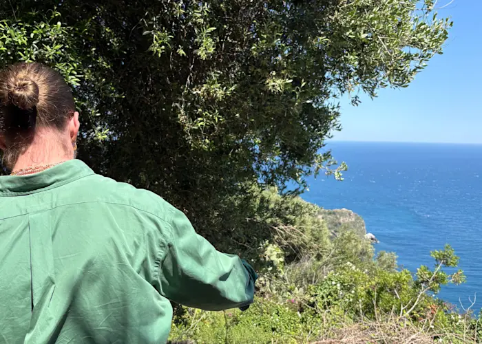 Outsiders: murmur w/ askmelater