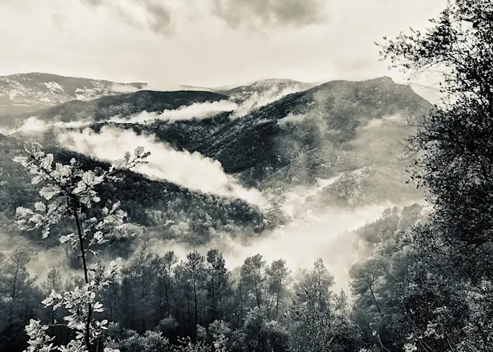 Outsiders: Demord Enregistrements w/ Batchas & Riposte